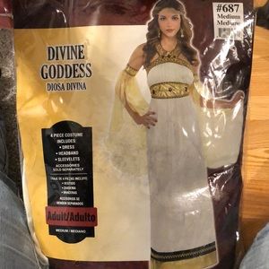 New in bag Halloween costume-  DIVINE GODDESS size adult woman- Medium